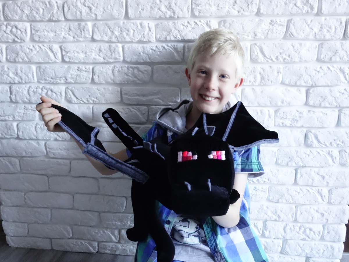 enderdragon minecraft ad al6
